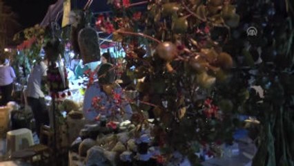 Tyche Bereket Festivali"