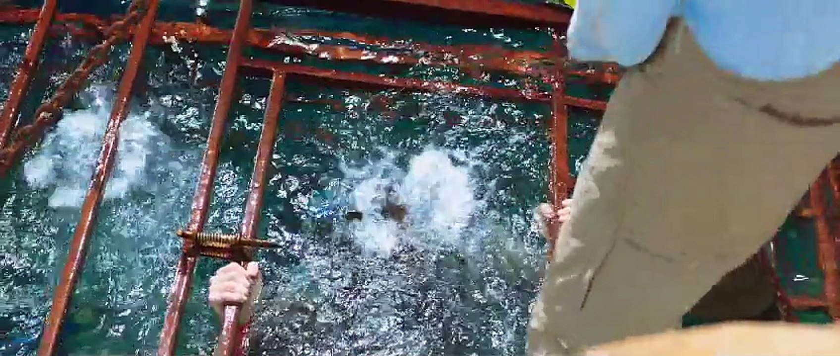 47 Meters Down Trailer #1 (2017) Mandy Moore Horror Movie