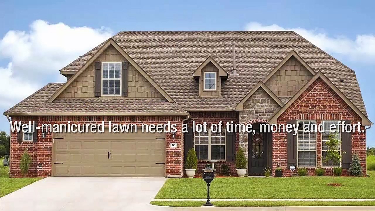 Owning The Best Looking Lawn In Texas