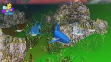 Finger Family Shark Family Nursery Rhyme 3D _ Animal Fin