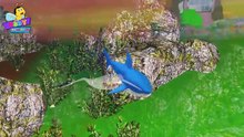 Finger Family Shark Family Nursery Rhyme 3D _ Animal Finger Family _ Fish Finger Family for K