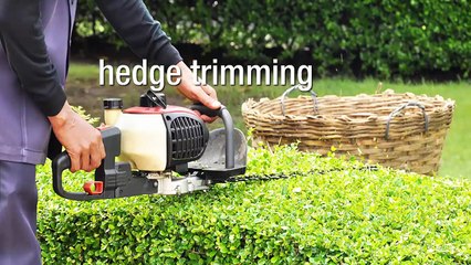 Maintaining A Beautiful And Healthy Lawn The Stress-Free Way