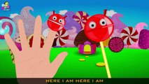 Lollipop Finger Family  _ Finger Family Songs _ Finger Family Lollipop Rob