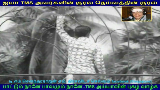 Hello Partner 1972 (TMS Legend) 125