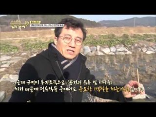 생태환경복원계, 미다스의 손! 변찬우 교수  [황금열쇠] 6회 20160109