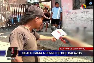 SJL: sujeto mata a perro de dos balazos