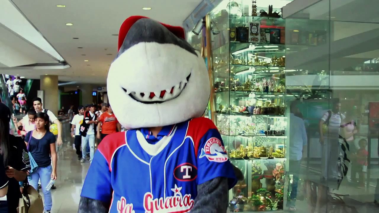 ¡Destacado! Diego Ricol Freyre: Tibu, la genial mascota de los Tiburones de La Guaira