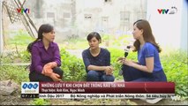 Tin Tức VTV24 - 10_11_2016_ Trồng Rau Giữa Những Khoảng Đất Trống Các Nhà Cao Tầng Liệu Có An Toàn_