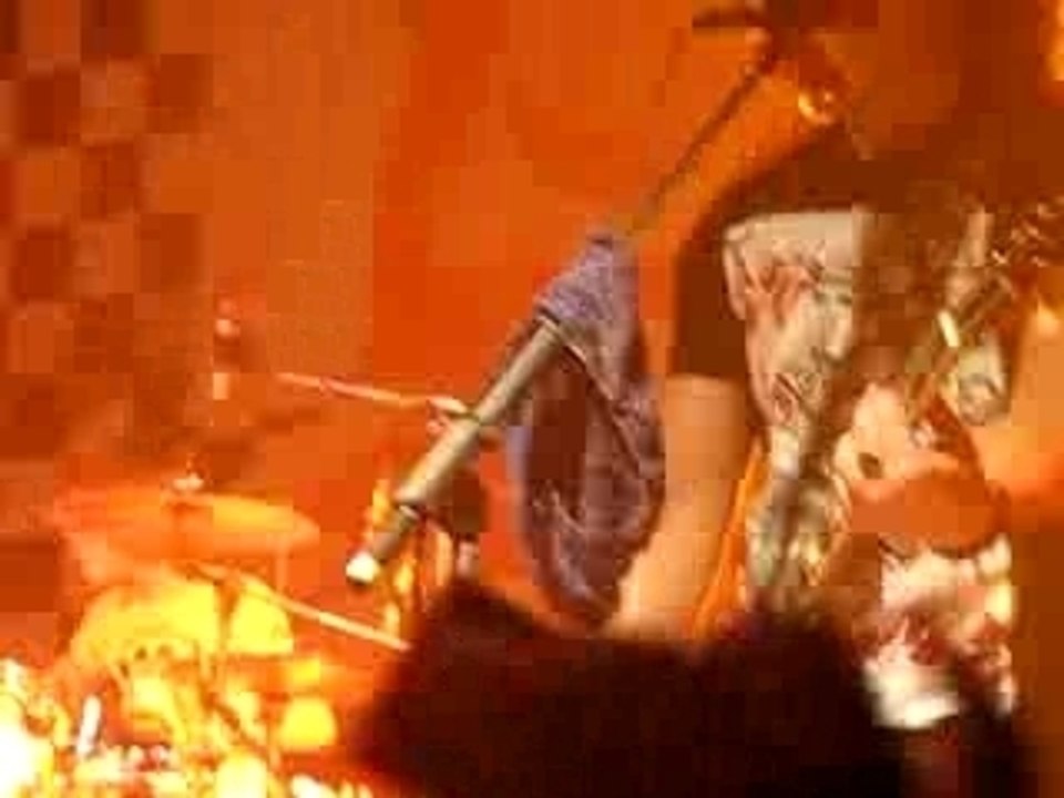 Killerpilze - Sommer