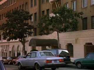 I Think It Got The Dog Hd