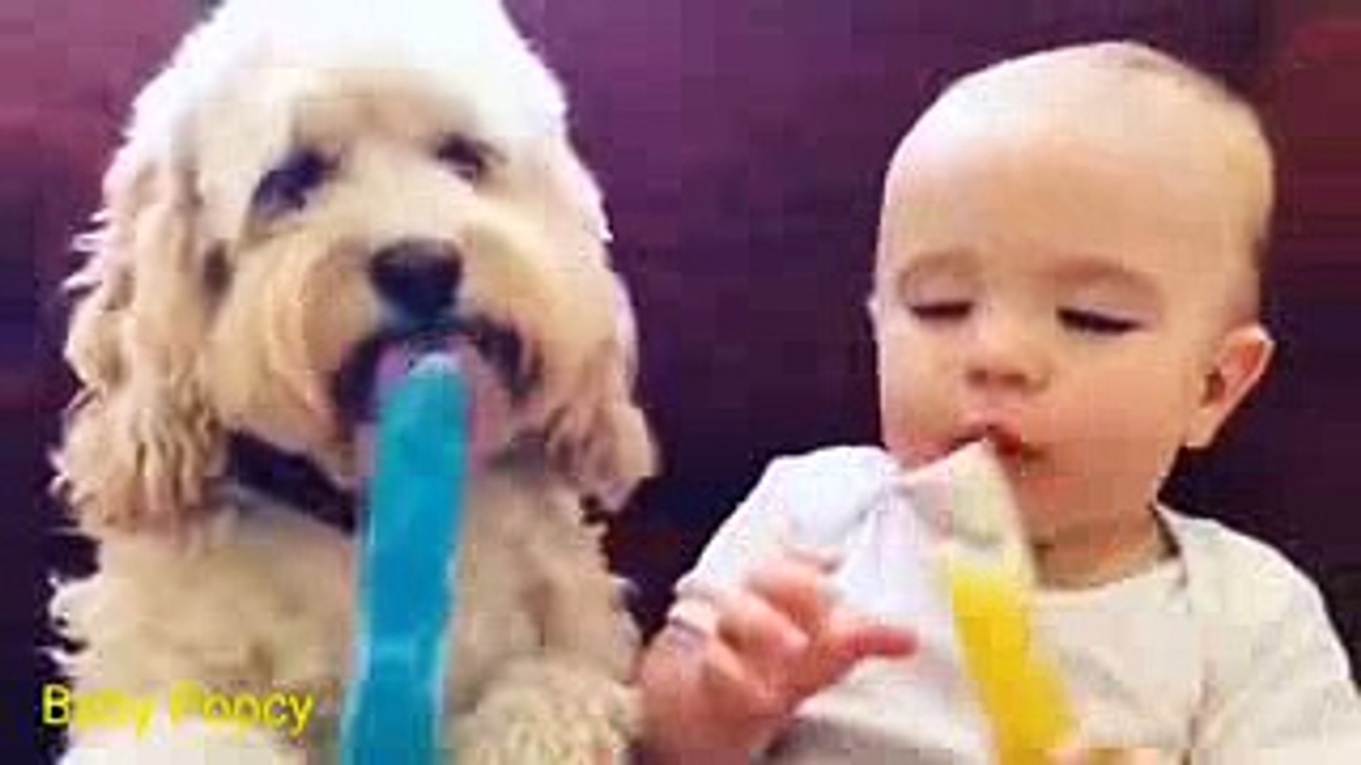 Funny Baby Eating ★ Kids Funny Videos ★ Funny Videos for Kids