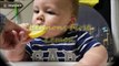 Cute baby tries eating a lemon