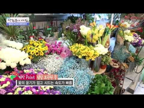 꽃을 든 남자, 대박 신화를 이루다 [광화문의 아침] 146회 20160105