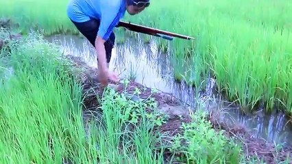 Amazing beautiful girl Fishing in combodia (3)