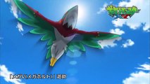 【公式】アニメ「ポケットモンスター XY」プロモーション映像