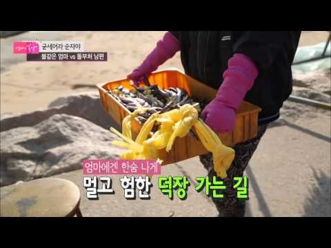 엄마의 소원 [엄마의 봄날] 26회 20160104