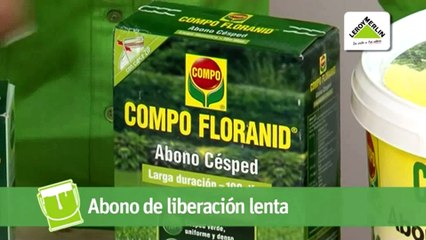 Como sembrar y cuidar el césped (Leroy Merlin)
