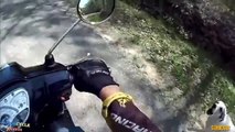 Dogs Attack Motorcycle Riders  _ Poor Dogs & Motorcyclist  escues Dog