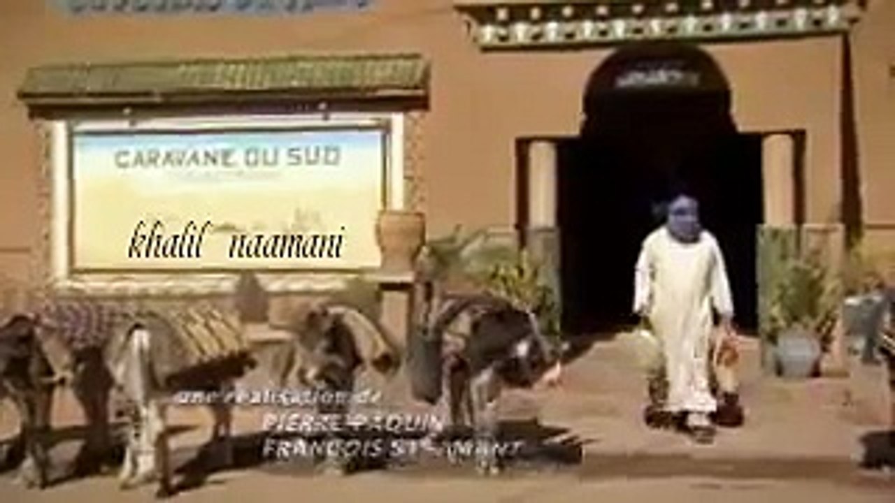 Funny Clip Video