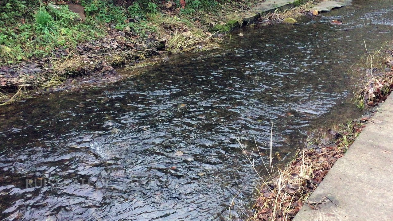 Ruisseau de Vallières - Metz - 25/12/2016