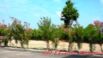 Real Estate in Coimbatore, Land for Sale, DTCP Approved Plots