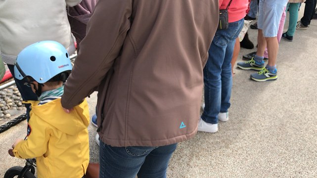 Les chiens de sauvetage Terre-Neuve en action