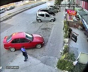 Sokak Ortasında Bir Kedi İki Köpeğe Bakın Ne Yaptı!