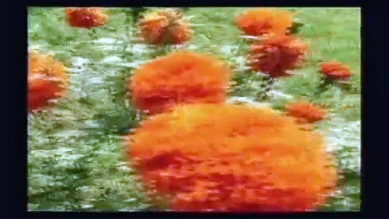 Κατερίνα Στανίση - Άγγελέ μου