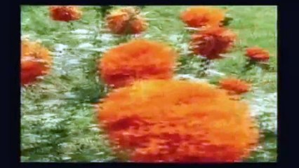 Κατερίνα Στανίση - Άγγελέ μου