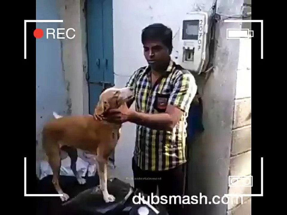 Best Dog Dubsmash