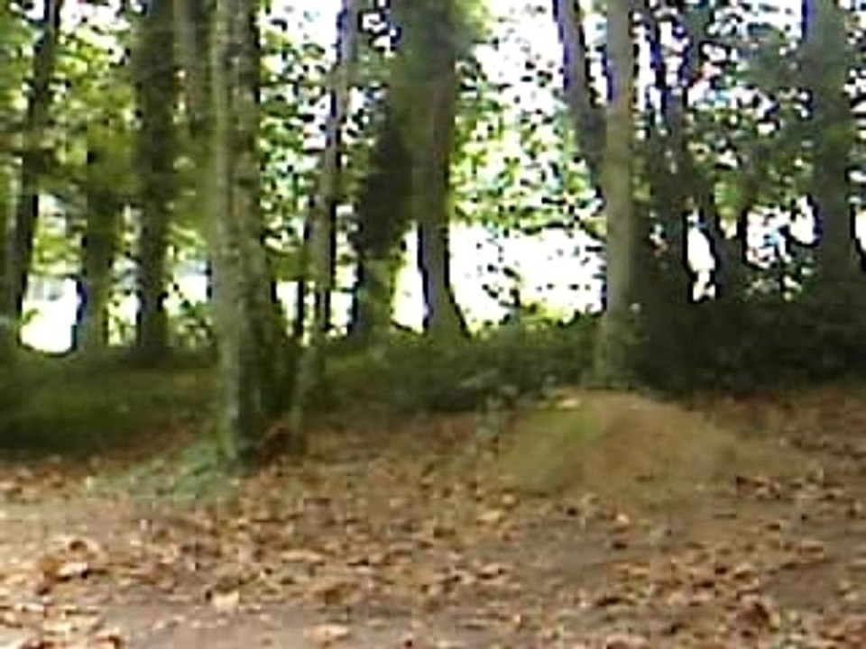 Parcours saut vtt