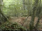 Parcours saut vtt