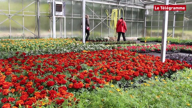 Quimperlé. Serres municipales : une journée portes ouvertes