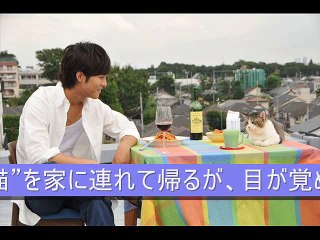 松坂桃李が“女の子ネコ”と同居するファンタジー【動画URLあり】短編作品がテレビ初放送