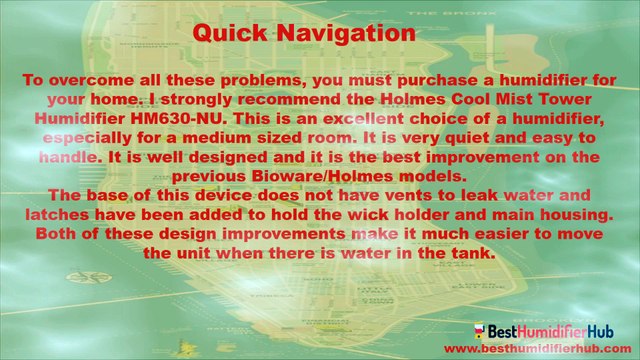 HOLMES COOL MIST TOWER HUMIDIFIER HM630-NU REVIEW