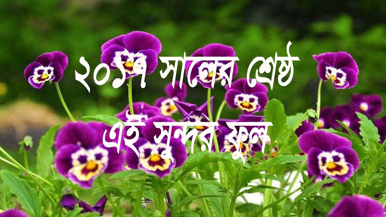 Ei Sundor Ful Sundor Fol bangla islamic song 2017