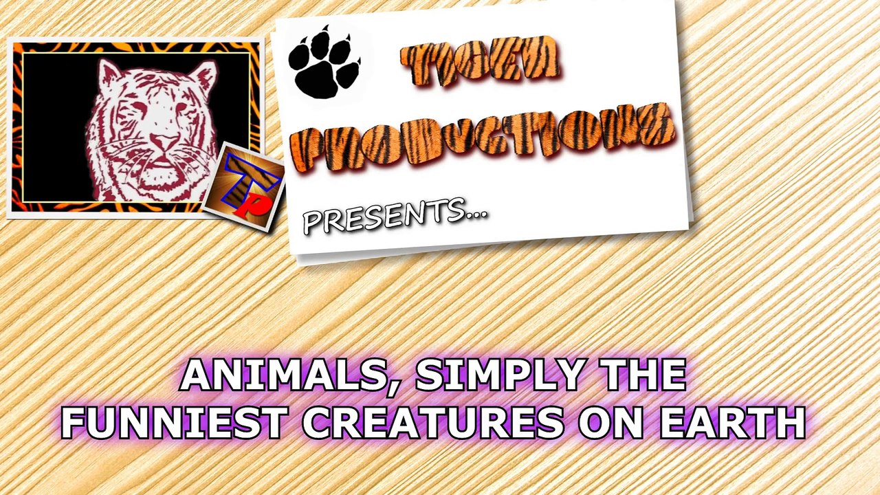 Animals, funniest and most amusing creatures on Earth - Super funny animal compilation
