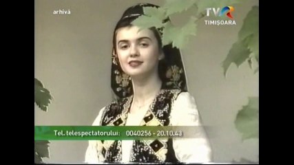 Andreea Voica - Bage-al meu din Timisoara - Arhiva