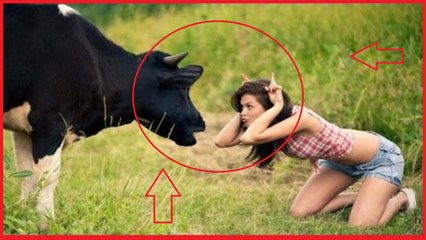 Funny Viral Pranks Videos Hd 2017 - Whatsapp Funny Videos - Try Not To Laugh Challenge