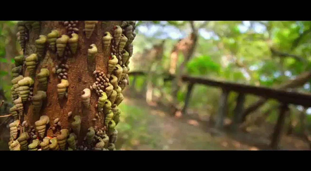 Keshava Theatrical Trailer - Nikhil