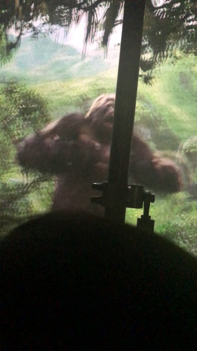 Universal Studios Tour King Kong 3D