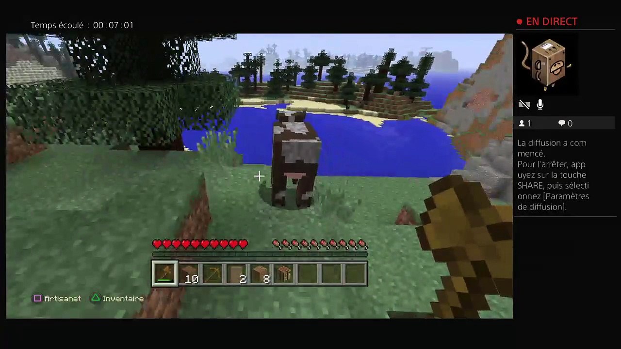 Minecraft (10)