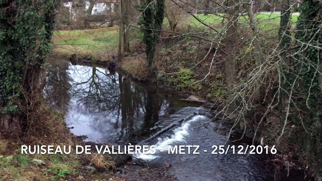 Ruisseau de Vallières - Metz - 25/12/2016