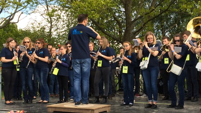 Festival de fanfares