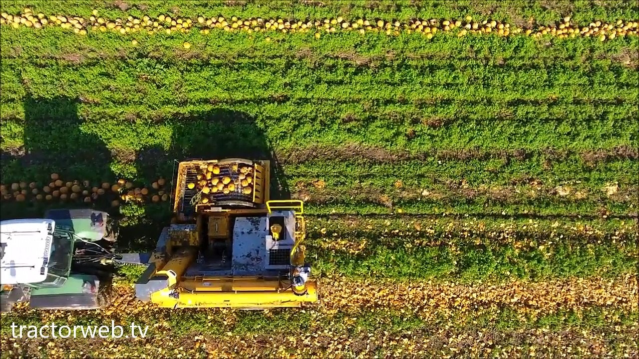 Kabak çekirdeği hasat makinesi