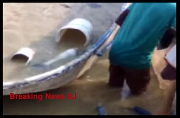 Prabhas Eats 40 Eggs Daily In Breakfast Prabhas bahobali 2 movie