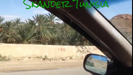 Tunisia_ au Coeur des Oasis de Montagnes de "Tamaghza" _Gouvernorat de Tozeur_