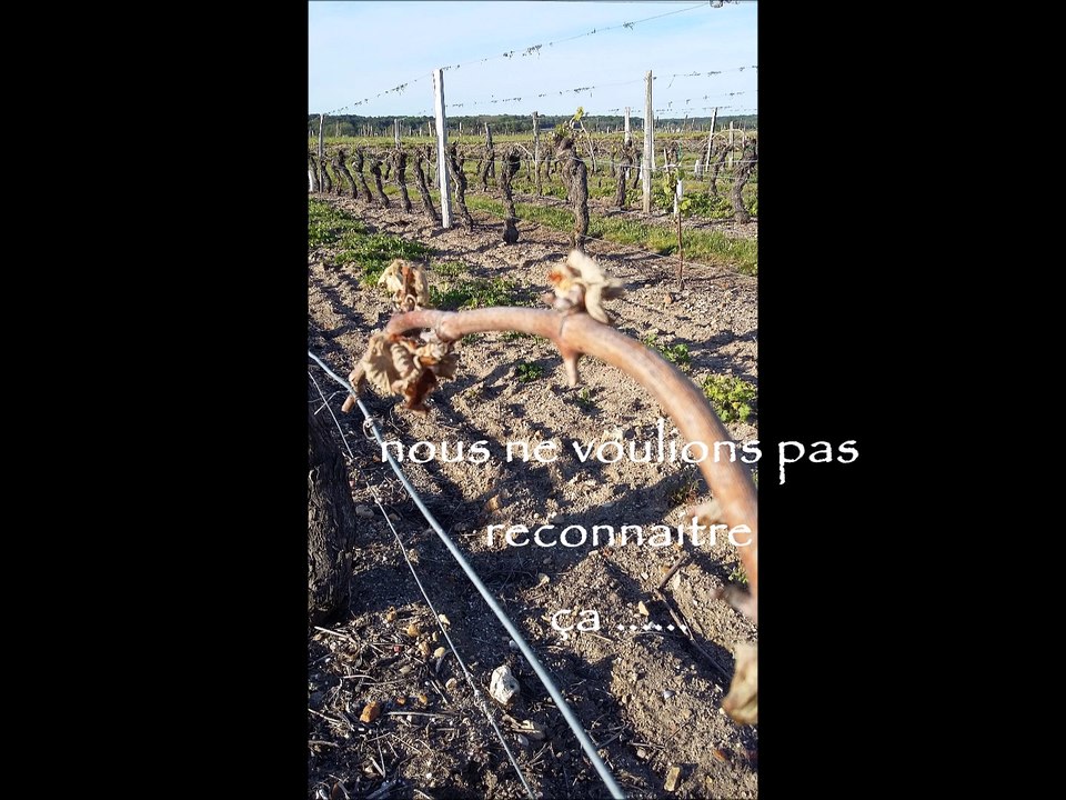 Helico 2017 go pro 3