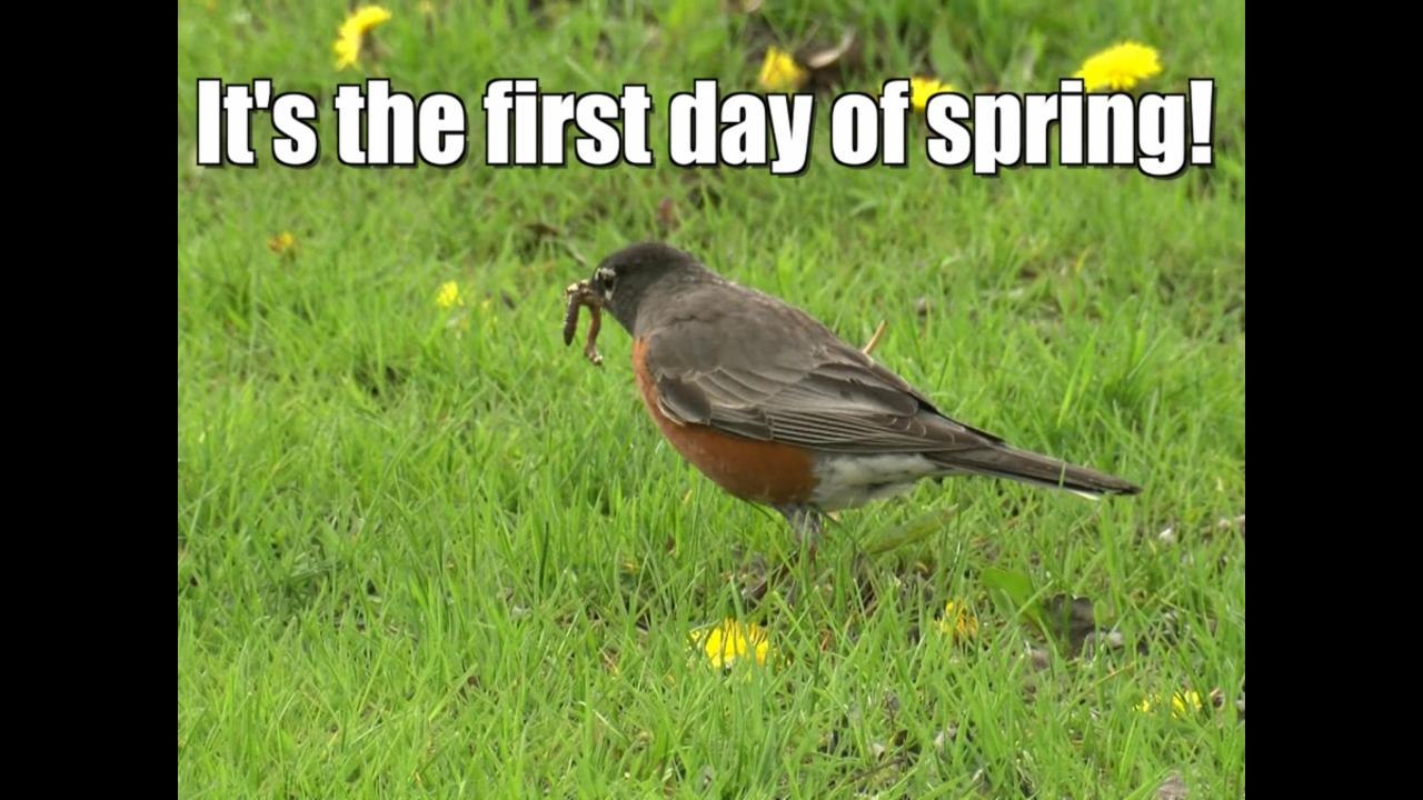 First day of Spring