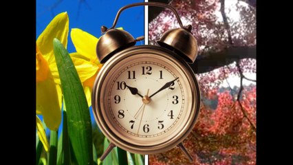 Daylight Saving Time's Brief History